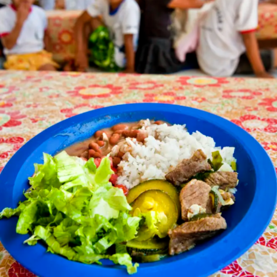 Brasil é referência na alimentação escolar, diz especialista