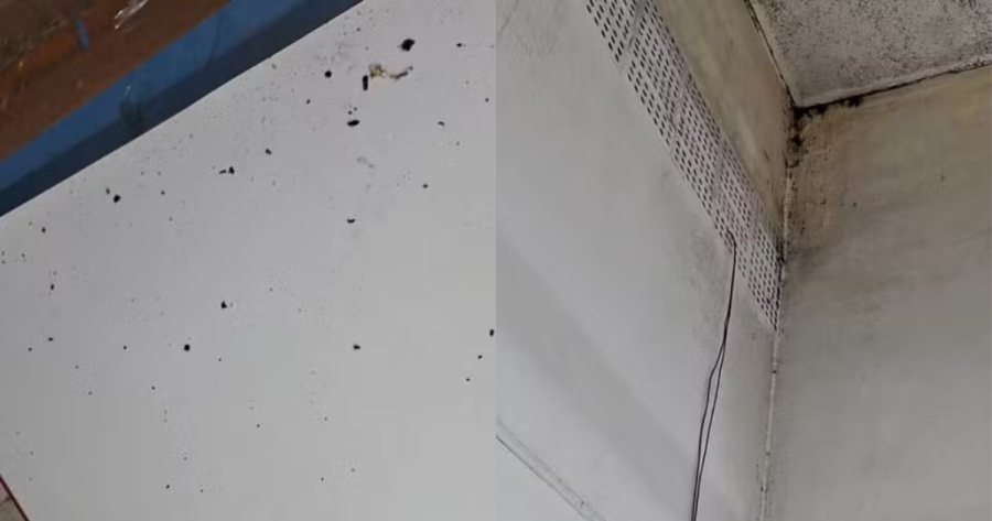 Escola de Registro é alvo de denúncias por fezes de morcegos e problemas sanitários